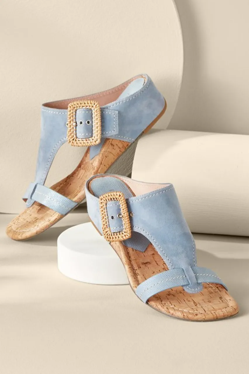 Soft Surroundings Donald Pliner Ofelia Wedge Slide- Shoes