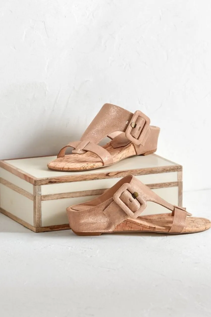 Soft Surroundings Donald Pliner Ofelia Wedge Slide- Shoes