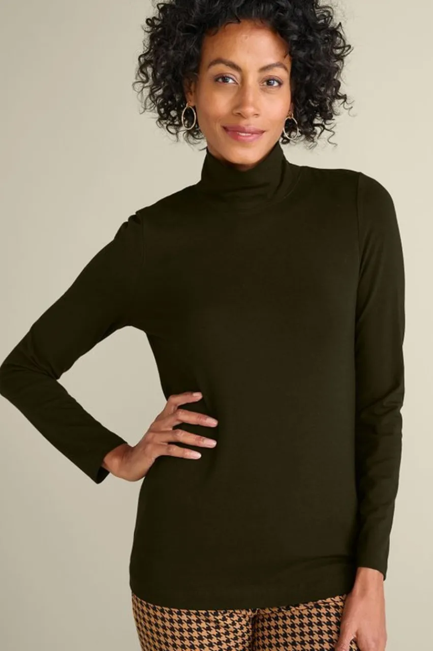Soft Surroundings Sandie Knit Turtleneck- Tops