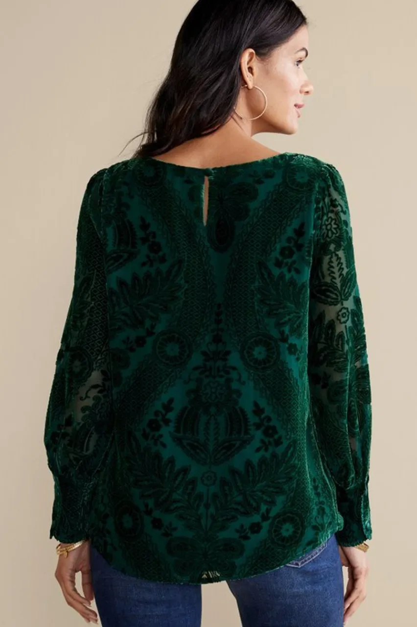 Soft Surroundings Vanetta Velvet Top- Tops